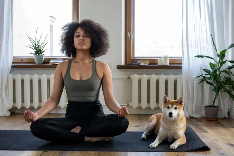 Tư thế yoga cơ bản phù hợp cho người mới bắt đầu